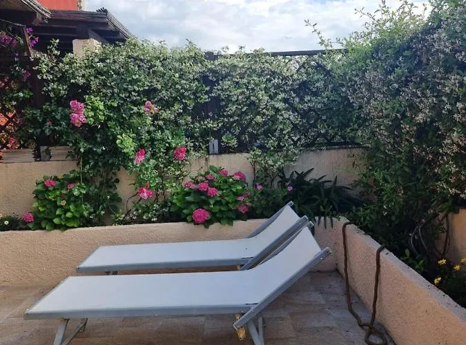 Lulamax Sardegna オルビア